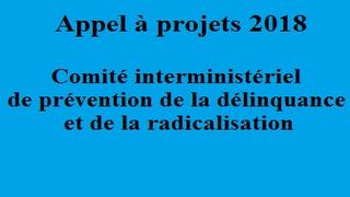 Appel à projets 2018 - Comité interministériel de prévention de la délinquance et de la radicalisation